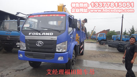 福田瑞琪隨車(chē)吊圖片